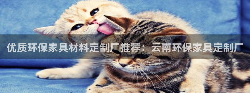 杏耀登陆测速