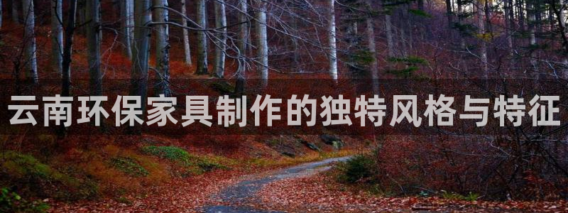 杏耀软件