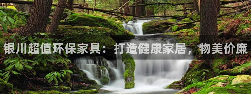 杏耀测速网址电脑版