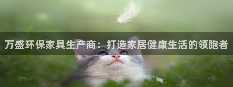 杏耀是什么平台