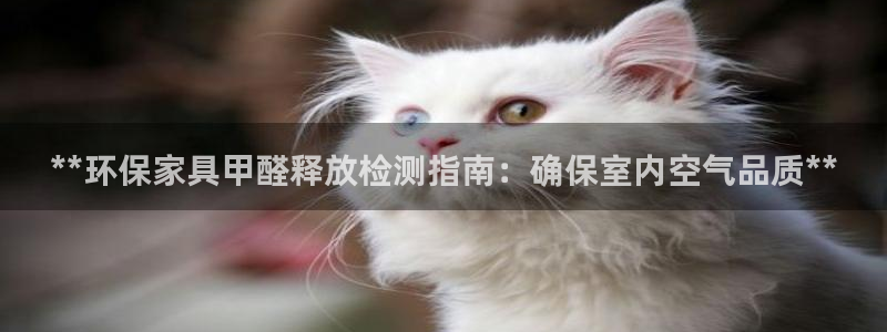 杏耀总代