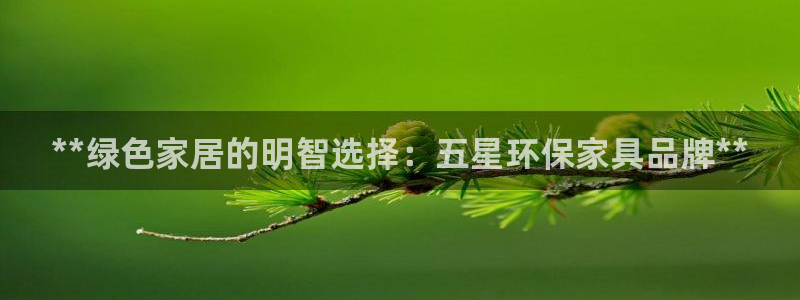 杏耀平台代理