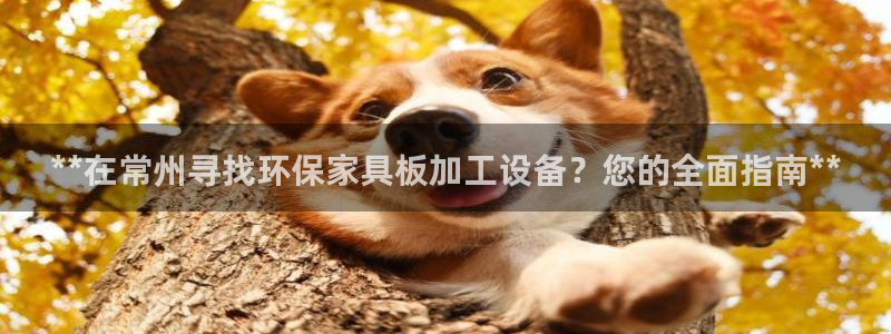 杏耀平台线路