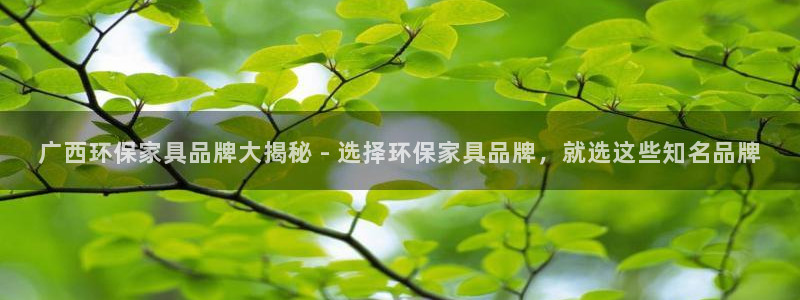 杏耀平台的专用通道