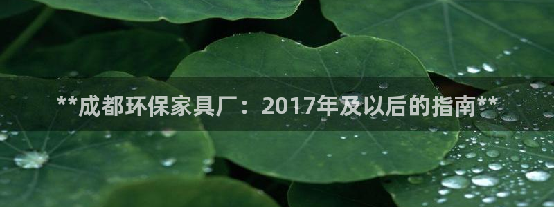 杏耀平台几年了：**成都环保家具厂：2017年及以后的指南*