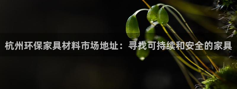 杏耀主管qq