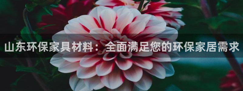 杏耀官方测速