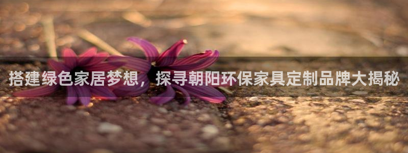 杏耀登陆电脑线路测速