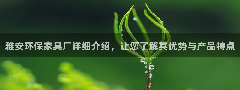 杏耀登陆线路