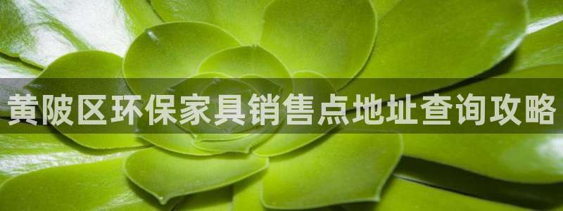 杏耀平台官方网站下载：黄陂区环保家具销售点地址查询攻略