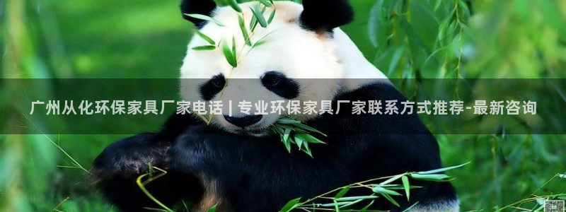 杏耀官网游戏