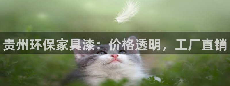 杏耀平台代理登录网址查询：贵州环保家具漆：价格透明，工厂直销