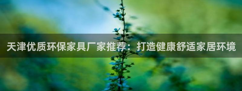 杏耀官网网站：天津优质环保家具厂家推荐：打造健康舒适家居环境