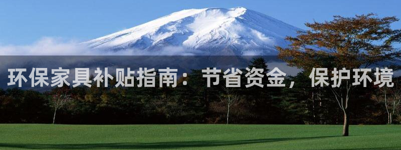 杏耀平台登录网站：环保家具补贴指南：节省资金，保护环境