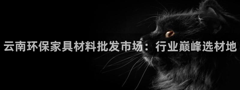 杏耀官方注册中心：云南环保家具材料批发市场：行业巅峰选材地
