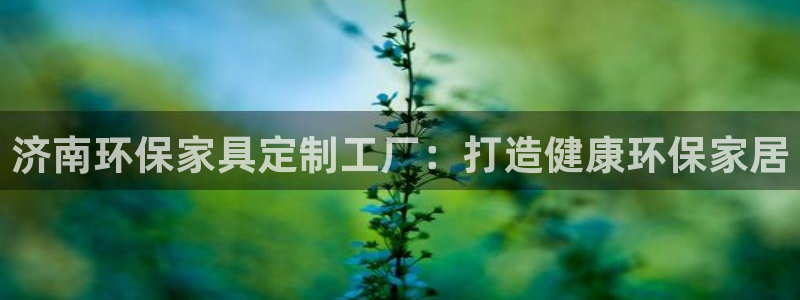 杏耀软件：济南环保家具定制工厂：打造健康环保家居