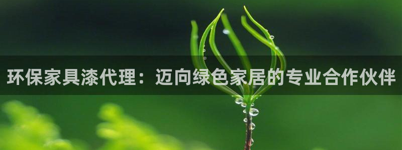 杏耀平台待遇：环保家具漆代理：迈向绿色家居的专业合作伙伴