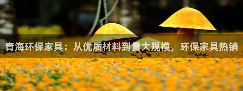 杏耀登陆电脑线路测速
