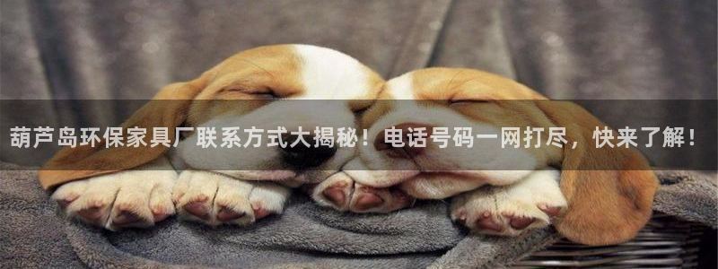 杏耀平台指定