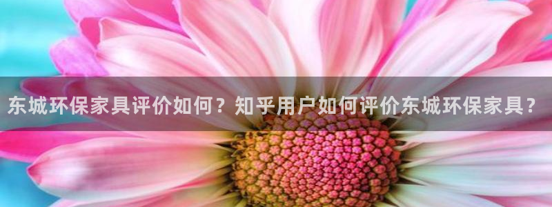 杏耀平台在哪里：东城环保家具评价如何？知乎用户如何评价东城环