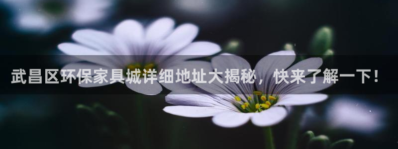杏耀平台代理怎么赚钱：武昌区环保家具城详细地址大揭秘，快来了