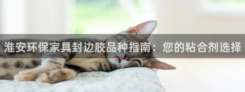 杏耀平台还在吗：淮安环保家具封边胶品种指南：您的粘合剂选择