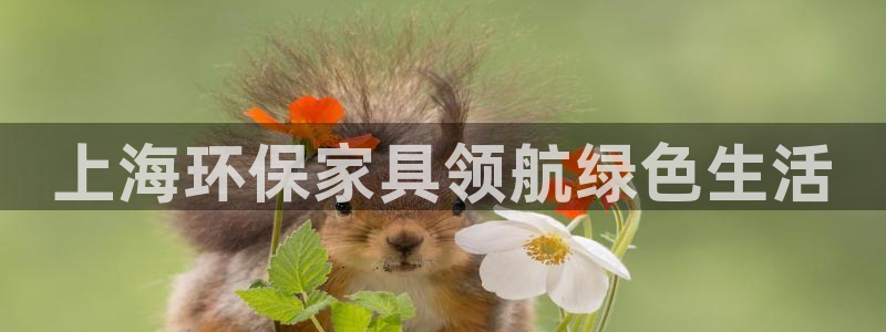杏耀代理登录中心：上海环保家具领航绿色生活