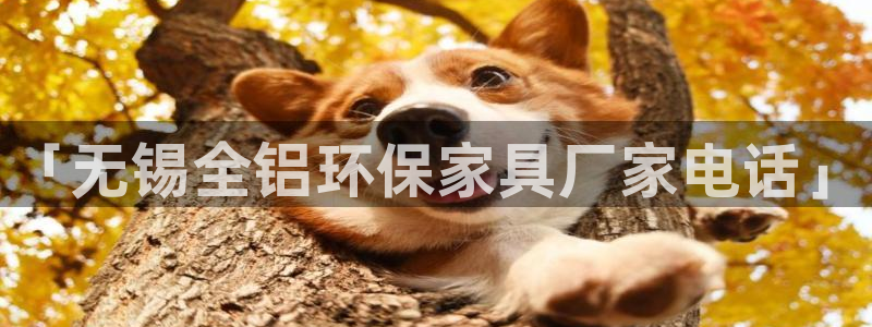 杏耀平台测速地址